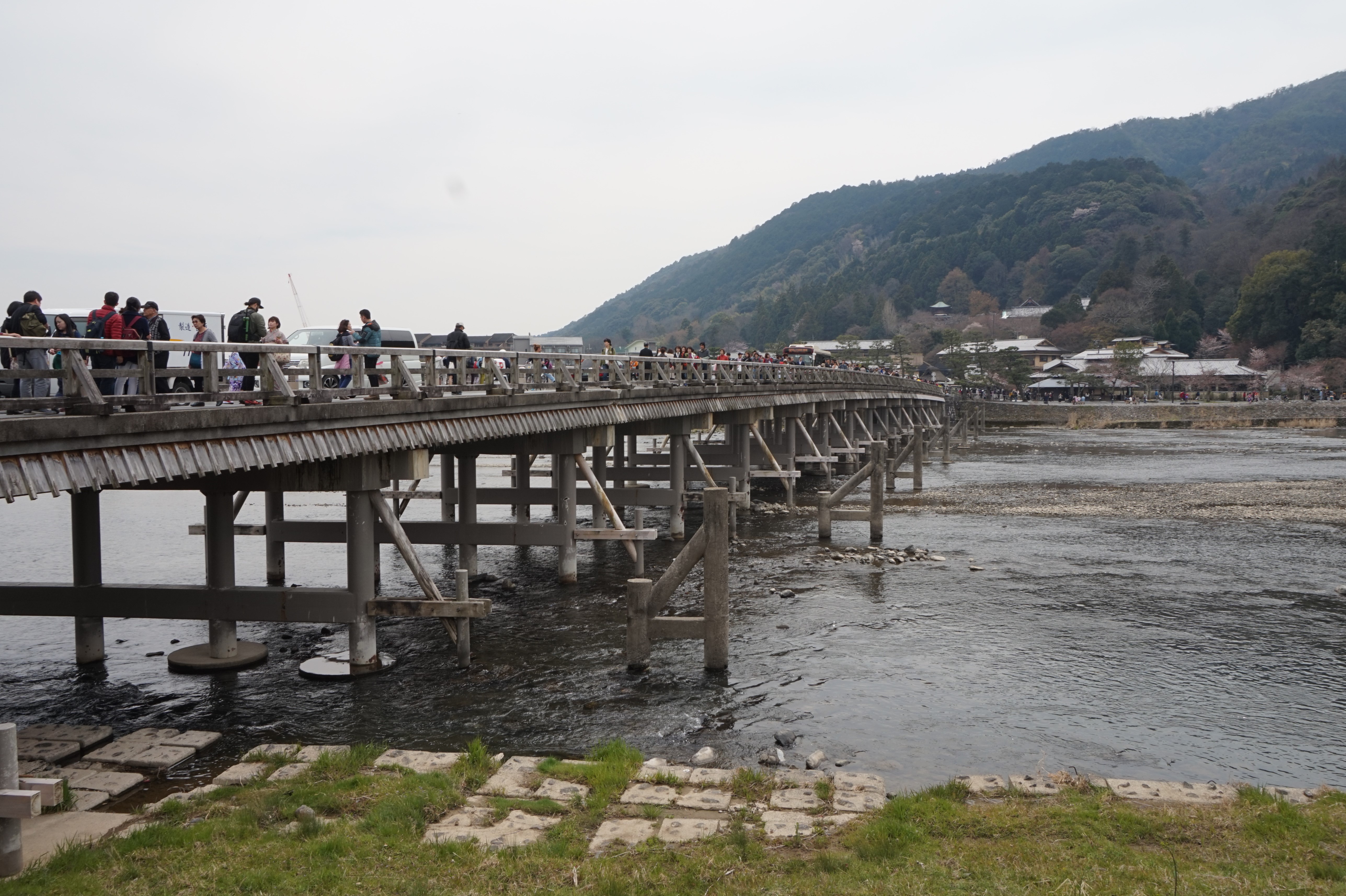 DSC01713 (2)